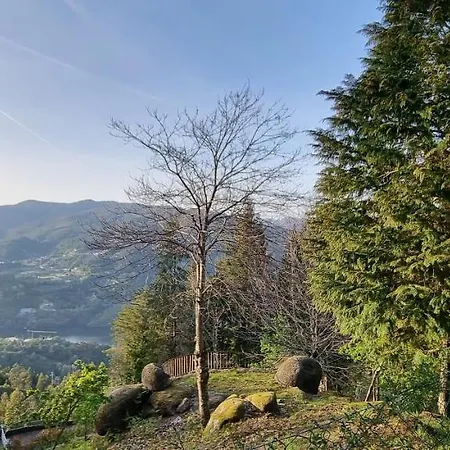 Moradia No Gerês - O Africanista *