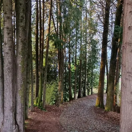 Moradia No Geres - O Africanista Σπίτι διακοπών *