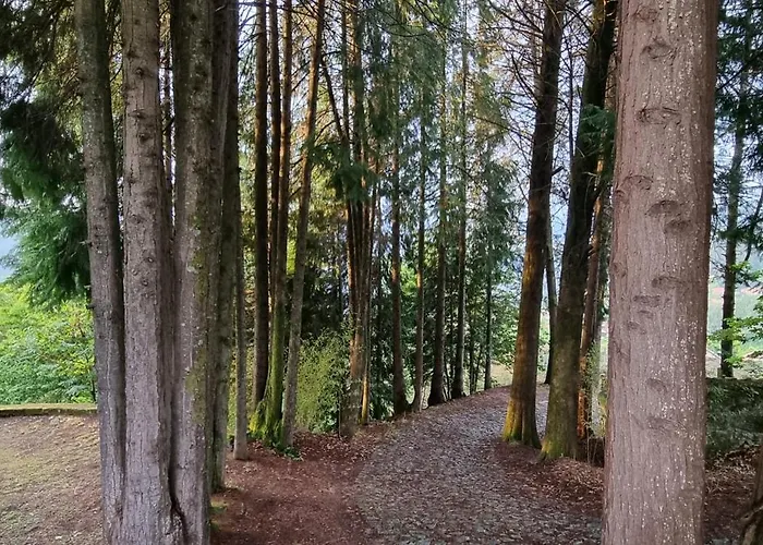 Moradia No Gerês - O Africanista Hébergement de vacances *